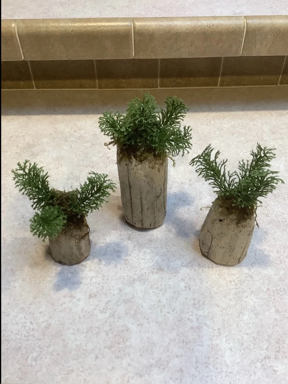 Driftwood Art, Driftwood Faux Plants , Driftwood Faux Greenery Coastal Art